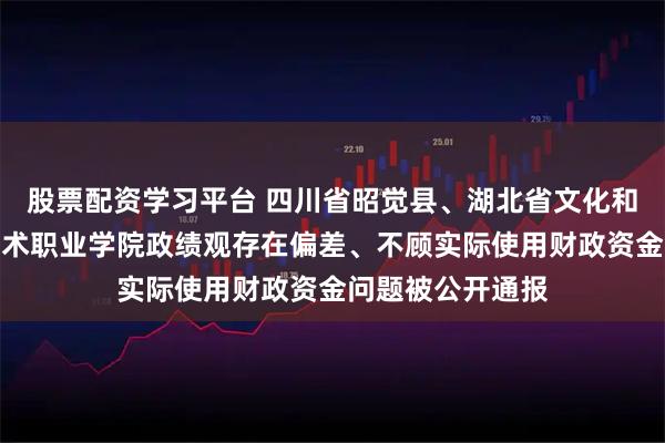 股票配资学习平台 四川省昭觉县、湖北省文化和旅游厅及湖北艺术职业学院政绩观存在偏差、不顾实际使用财政资金问题被公开通报
